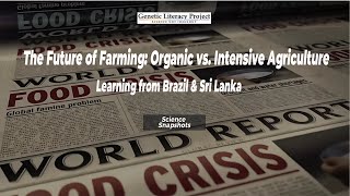 The Future of Farming Organic vs Intensive Agriculture [upl. by Rochelle617]