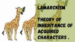 Lamarckism Theory Of Inheritance Of Acquired Characters Rejection Of Lamarckism  Flaws [upl. by Rabbaj]