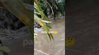 Banjir menjadi berkah [upl. by Karyn]