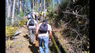 Passeio CCM  Funchal Levada do Poço Barral Viana Curral das Freiras a 01112014 [upl. by Seta602]