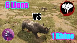 6 Lion vs 1 Rhino  Animalia Survival [upl. by Ellerihs]