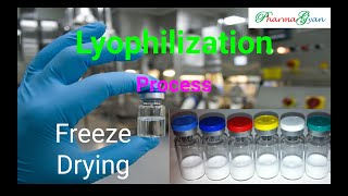 Lyophilization Process in Pharmaceutical Companies [upl. by Anialem]