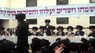 Tosher Sheva Brachos in Boro Park [upl. by Xylon]