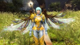 GW2  Vaanss Warrior Astralarium v3  WvW Roaming [upl. by Prasad]