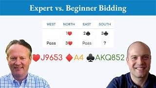 How beginner intermediate and expert players might bid this bridge hand differently [upl. by Sanford]