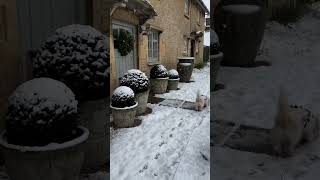 Snow in the Cotswolds [upl. by Henri]