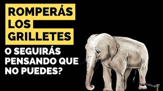 El GRILLETE del Elefante 🐘  Resumen del Libro  Rodrigo Dávila Soley [upl. by Benenson873]