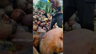 How to Open a Coconut  Highly Skilled Coconut Husking Fastest way [upl. by Sherill]