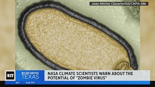 Scientists warn about quotzombiequot virus [upl. by Acina]