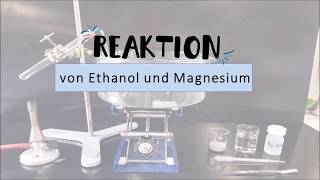 Versuch Reaktion von Ethanol mit Magnesium [upl. by Lamp]