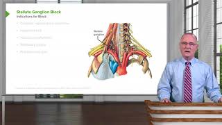 Stellate Ganglion Block – Head amp Neck Anatomy [upl. by Esirec46]