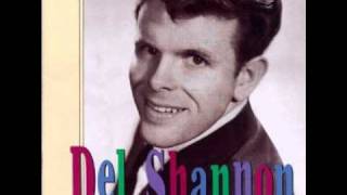 Del Shannon  Little Town Flirt [upl. by Siul]