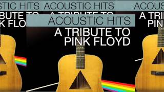 Acoustic Hits  Pink Floyd  Medley [upl. by Eisnyl]