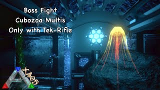 Cubozoa Multis Only with TekRifle  Dungeon Boss  Ark Mobile [upl. by Fusuy]