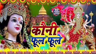 Live देवी पचरा गीत  कवन फूलवा फूले मईया  devi pachra geet gudiya rani devi song [upl. by Aicre]