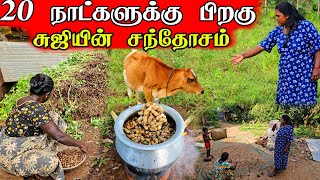 20 நாட்களுக்கு பிறகு எங்கள் தோட்டத்தில்  Our village life ♥️  vanni vlog [upl. by Esyli]