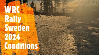 WRC Rally Sweden  2024  Stage conditions [upl. by Boy]