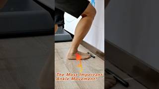 The Most Important Ankle Movement [upl. by Ahsirat]