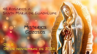 46 Rosarios a la Virgen de Guadalupe  Día 8  04 de noviembre 2024 [upl. by Tiffa]