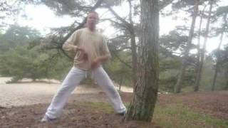 Staan als een boom mindfulness en Qigong [upl. by Names187]