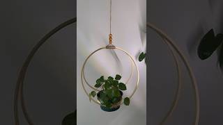 Colgador para plantas con aros de madera🪵🪴diy plants jardin huerto plantlady plantas hang [upl. by Enuj]