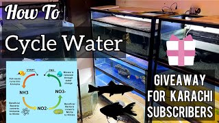 How To Cycle A Fish Tank  Aquarium Ka Pani Cycle Kese Karte  Imrans World [upl. by Sixla]