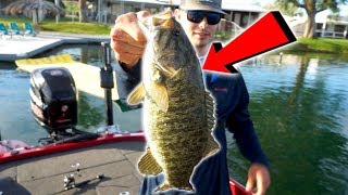 Colorado River Smallmouth Bass Fishing  CaliforniaArizona [upl. by Woodberry]