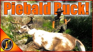 A Piebald Buck for Our Trophy Lodge  Lets Go Trophy Huntin [upl. by Alac]