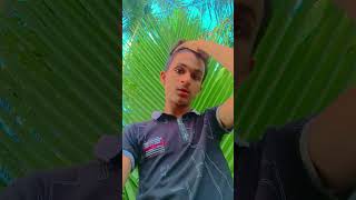 Niyamat gamer Hindi gaan video tiktok viral bollywood song 😜💘💞 [upl. by Yeoj164]