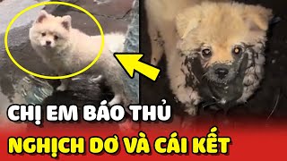 Hai chị em NGHỊCH NƯỚC DƠ bị bố phát hiện và cái kết 😂  Yêu Lu [upl. by Aicirtap]