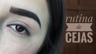 Tutorial de mi RUTINA DE CEJAS [upl. by Kathye]