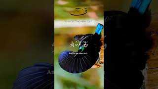 Surah Kaif arabic duet ayat quranchapter birds tilawati quransurah love recitationtilawat [upl. by Gertruda]