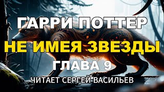 Не имея звезды  Глава 9  Гарри Поттер аудиокнига Васильев С [upl. by Kolodgie685]