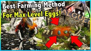 HOW TO FARM UNLIMITED MAX LEVEL DEINONYCHUS EGGS IN ARK VALGUERO  ARK VALGUERO [upl. by Oinafipe]