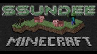 Minecraft Rollercoaster w SSundee [upl. by Goodson685]