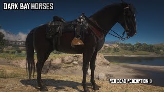 6 Best Dark Bay and Chestnut Horses for Arthur  4k  Red Dead Redemption 2 [upl. by Ynahteb137]