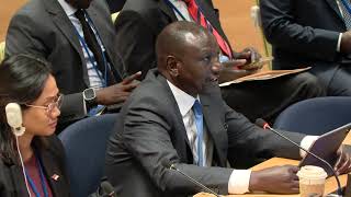 The upcoming international financing conference for development is our last opportunity  Pres Ruto [upl. by Hamilah]