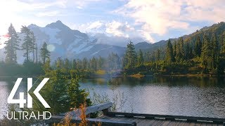 8 Hours of Birds Singing on the Lakeshore and Water Sounds  Relaxing Nature Sounds  Mount Shuksan [upl. by Adiuqram]