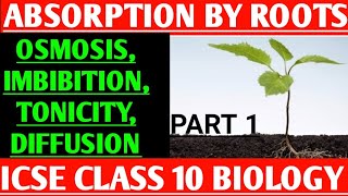 Absorption By Roots  Part 1  Biological Terms Related To The Chapter  ICSE CLASS 10 BIOLOGY [upl. by Chabot]