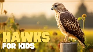 Hawks for Kids  Learn interesting facts about this apex predator [upl. by Hooge]