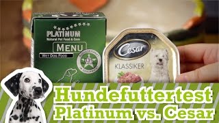 Hundefutter Test Cesar vs Platinum Menu [upl. by Hardigg]