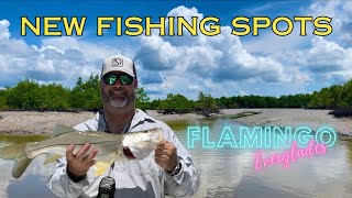 Discovering NEW fishing spots in Flamingo Everglades  Snook Trout Jacks Snapper and Turtles [upl. by Irfan]