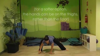 Serpentine Yoga Jungle Twist sequence [upl. by Fernanda]