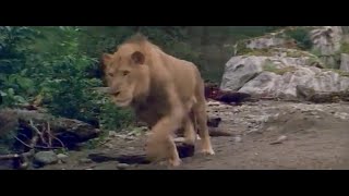 Clan of the Cave Bear 1986 Cave Lion Attack [upl. by Nahgam]