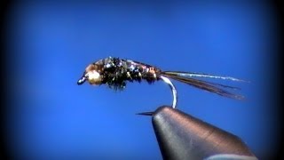 Fly Tying Flashback Pheasant Tail [upl. by Errick]