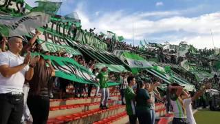 Los del Sur Atletico Nacional  La droga de mi corazon [upl. by Hayward8]