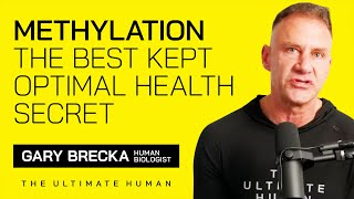 Methylation  The Best Kept Optimal Health Secret [upl. by Raimundo]