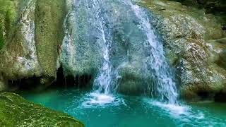 Relaxing birds amp water sounds nature river sounds for sleep meditation relaxation flowing water [upl. by Paloma]