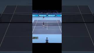 Federer  Ferrer Crazy Point [upl. by Cartan]