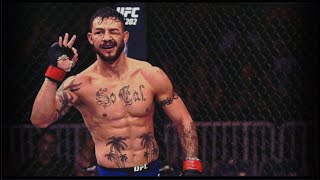 Killer Cub Swanson  HIGHLIGHTS 2020 HD [upl. by Hsiri]